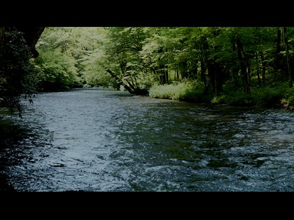 River Wild 16
