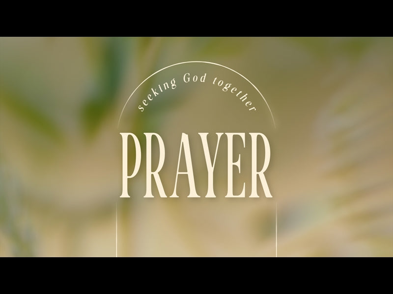 Forest Light Prayer