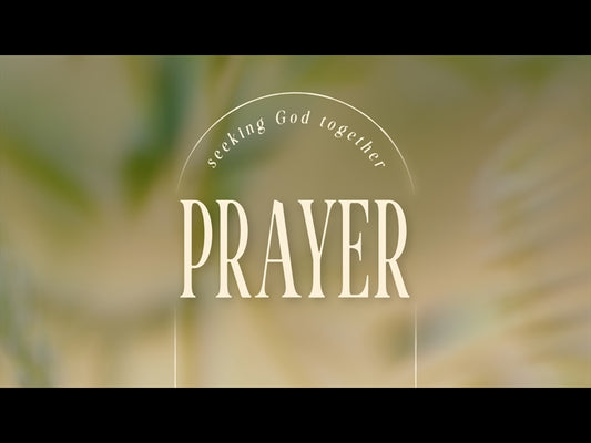 Forest Light Prayer