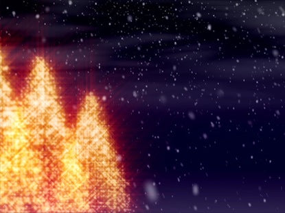 Gleaming Christmas Trees And Snow