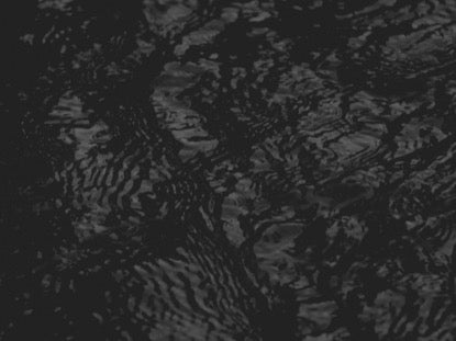 Black And White Bayou