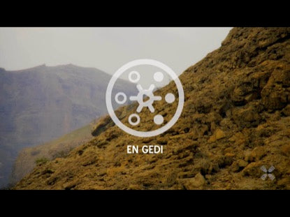 Promised Land En Gedi