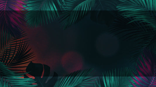 Vibrant Palms 1 Alt