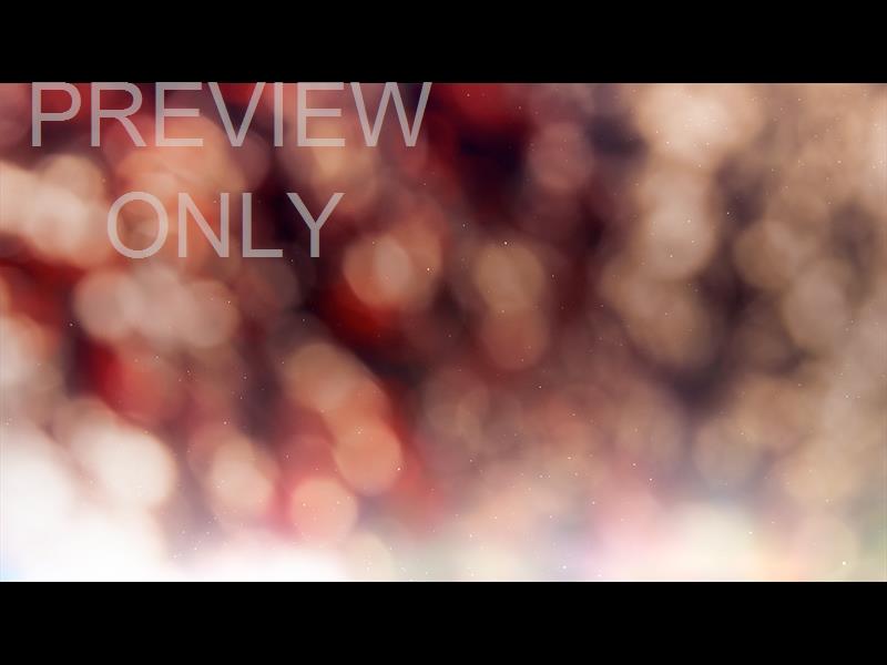 Christmas Light: 8 Still