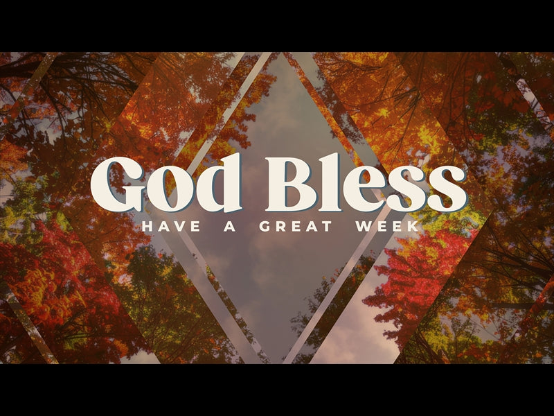 Fall Trees Close