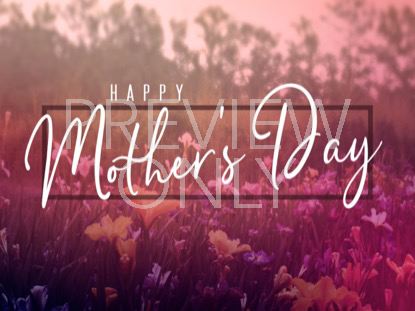 Wildflower Mothers Day Still