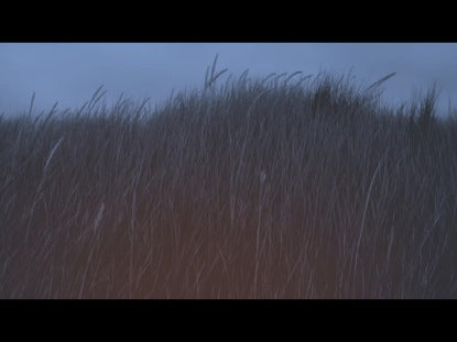 Hipster Harvest Background