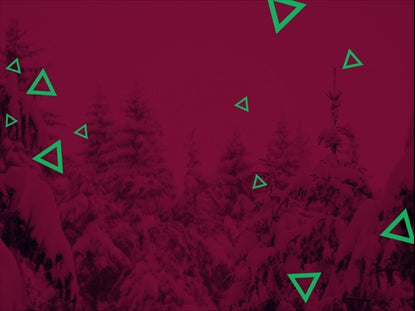 Cool Christmas Forest