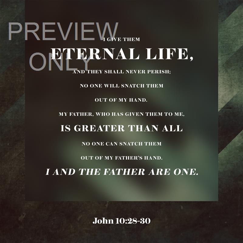 Muted Stripes John 10:28-30