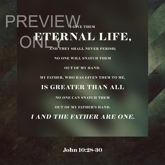 Muted Stripes John 10:28-30