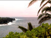 Island Splendor 13