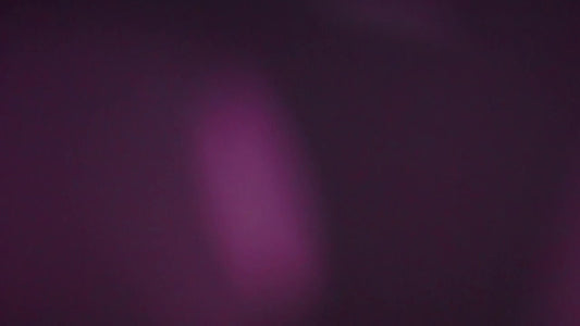 Purple Transfer