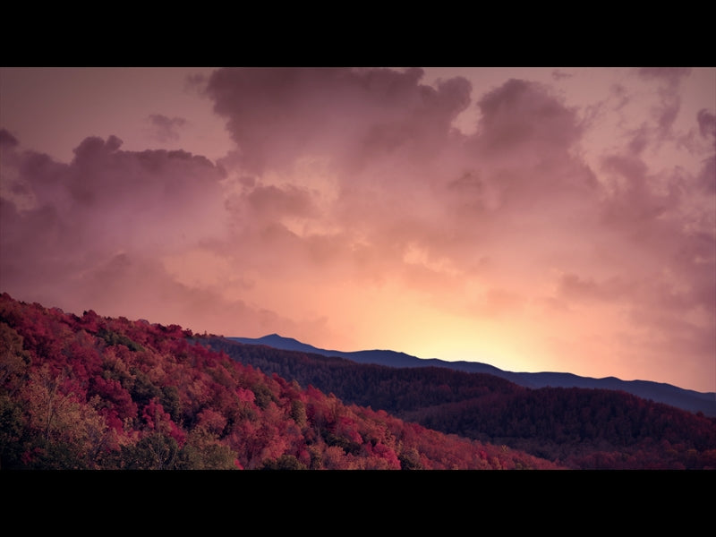 Wilderness Fall 11
