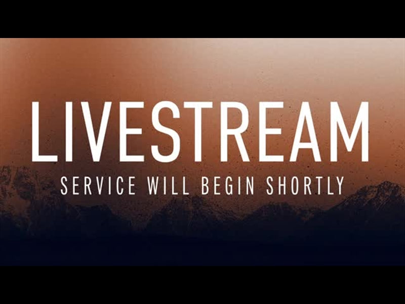 Wilderness Livestream