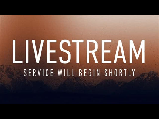 Wilderness Livestream