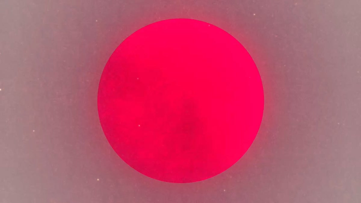 Silhouettes 17