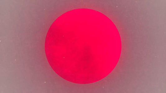 Silhouettes 17