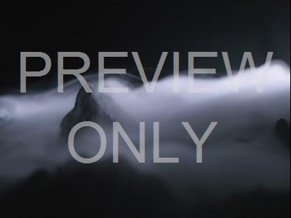 Resurrection 7