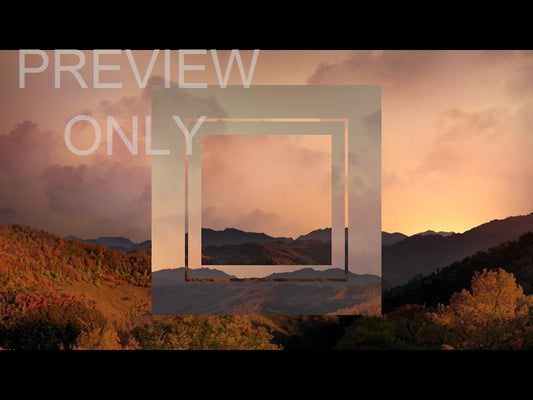 Wilderness Fall 2 Remix Still
