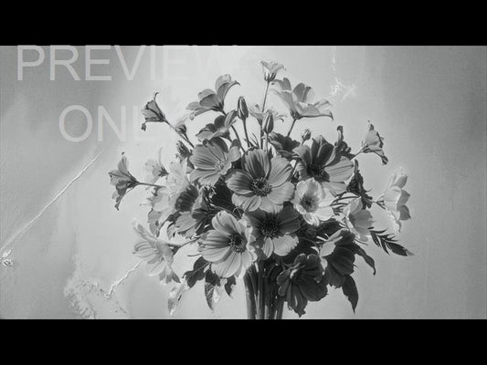 Mothers Day Bw Still 6