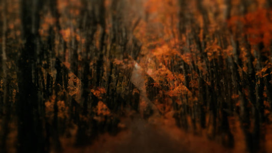 Autumns End 6