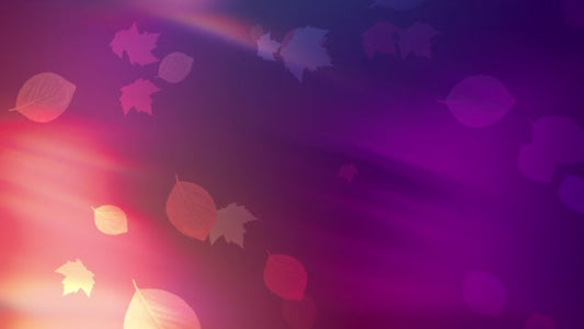 Light Leaves 01