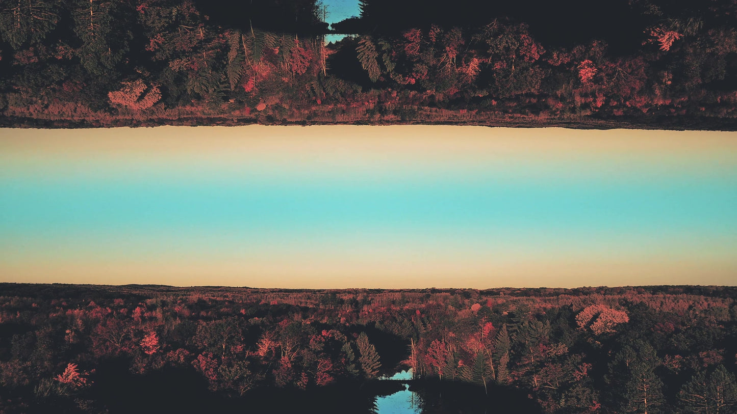Fall Foliage Remixed 05 Still