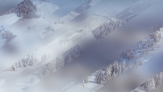 Winter Journey 13