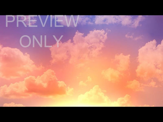 Easter Sunday: 12 Still