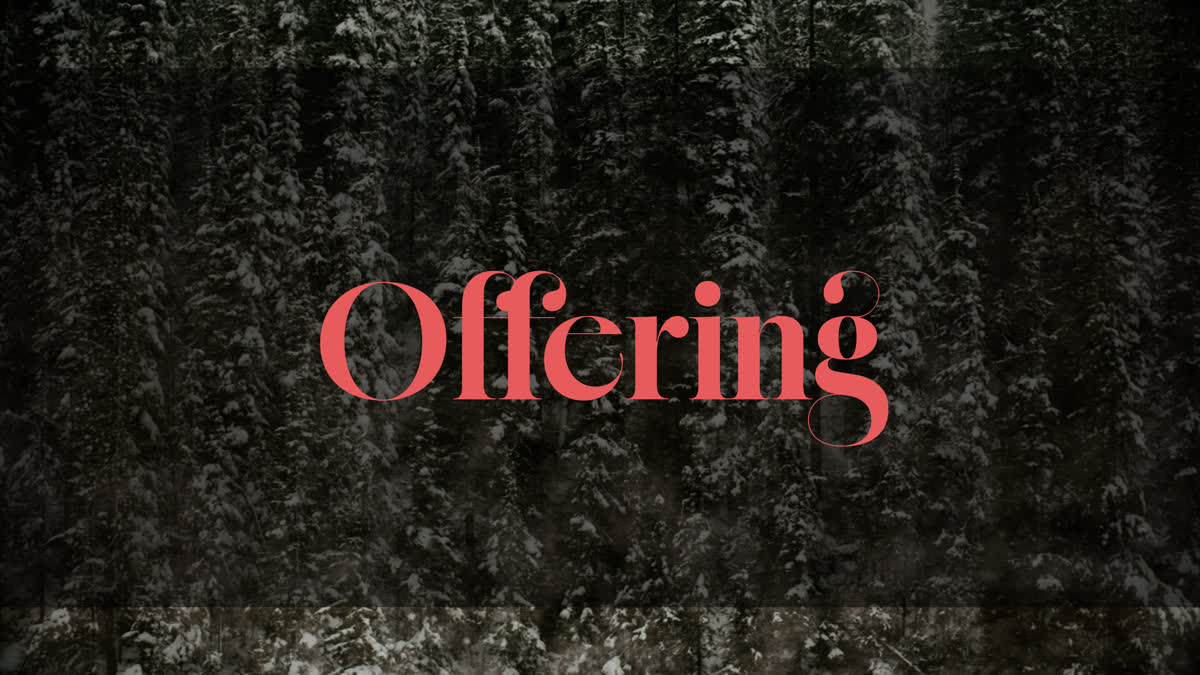 Evergreen Offering