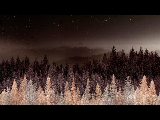Sparkling Trees 6
