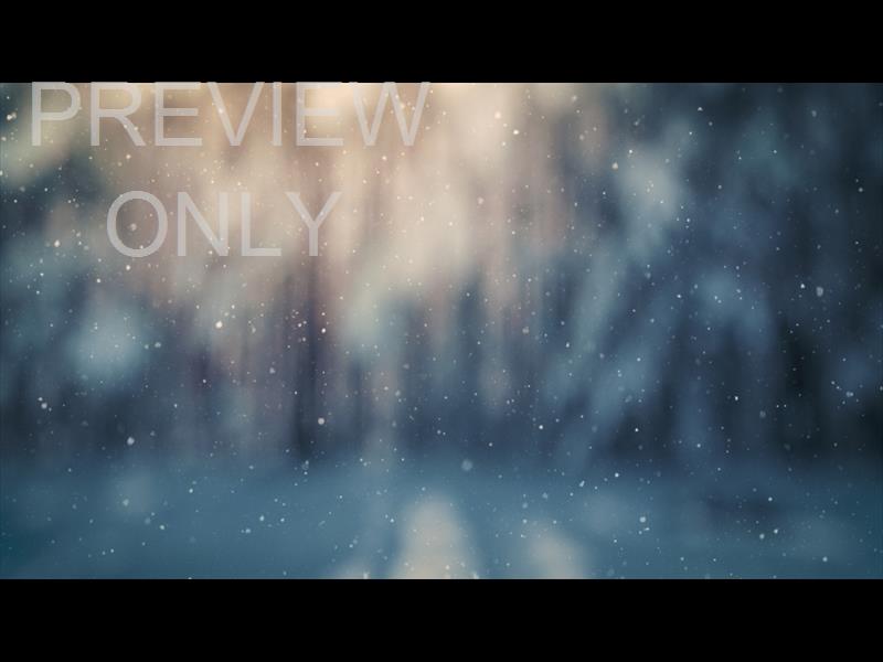 Snow Shimmer: 03 Still