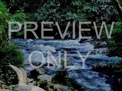 River Wild 18 Hd Still