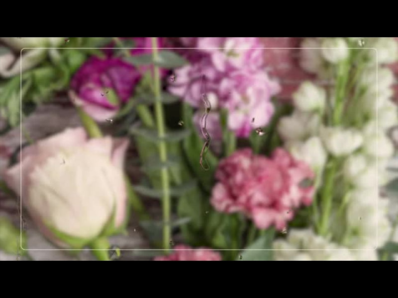 Floral Rain 2