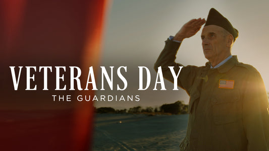 Veterans Day The Guardians