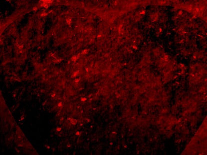Valentine's Day 01 Motion 05