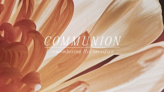 Flowers Of The Field Communion