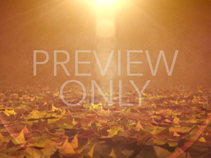 Vintage Thanksgiving Ground Leaves