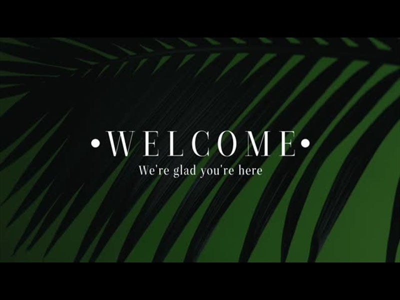 Cinematic Palms Welcome