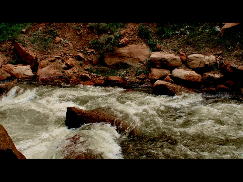 El Dorado Motion 5