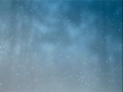 Winter Snow 10 Still