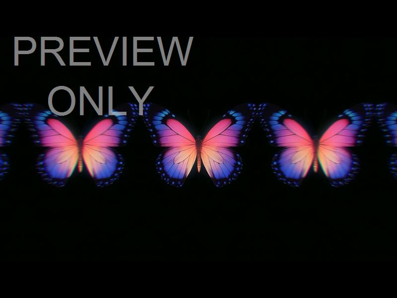 Butterflies 5 Still