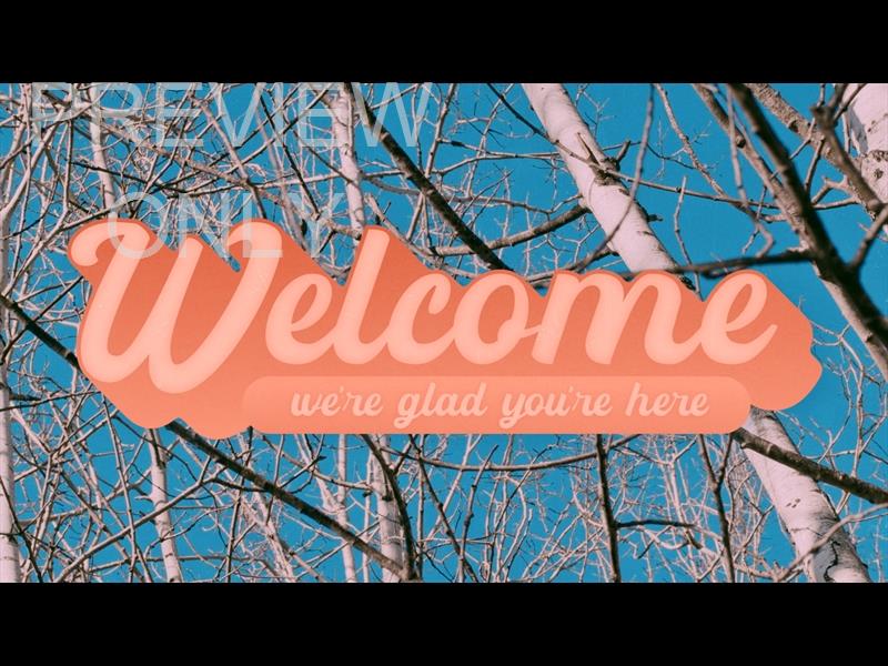 High Heavens Welcome Still