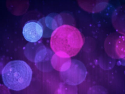 Bokeh Avalanche Purple