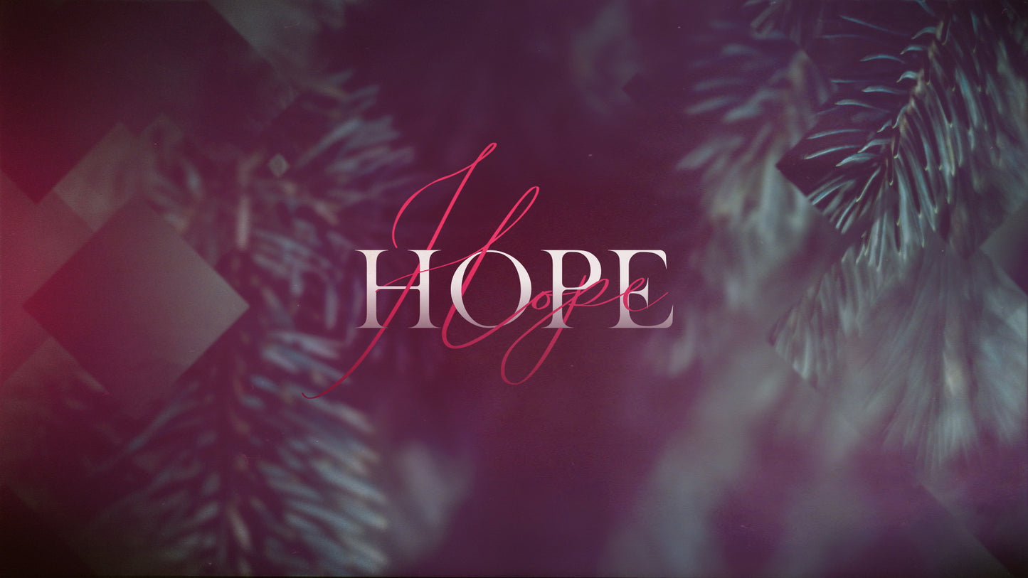 Christmas Journey Advent Hope Still