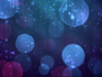 Bokeh Avalanche Reverse Fast