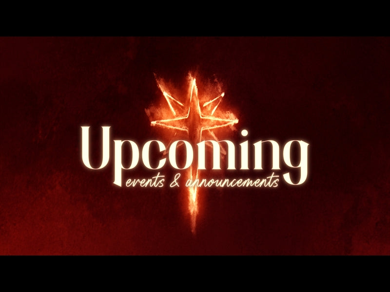 Light Of Christmas Upcoming