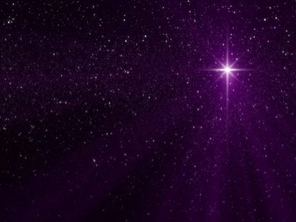 Nativity Star Magenta