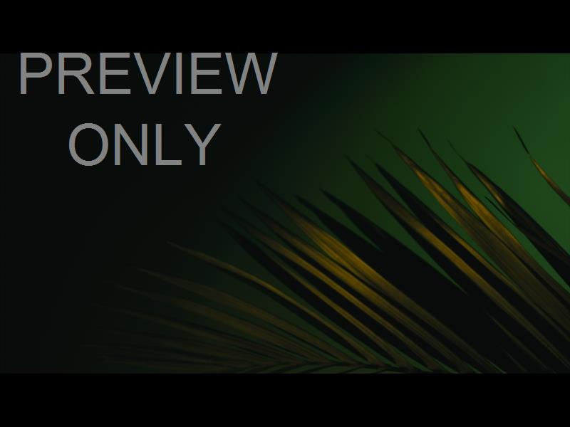 Cinematic Palms Still 13