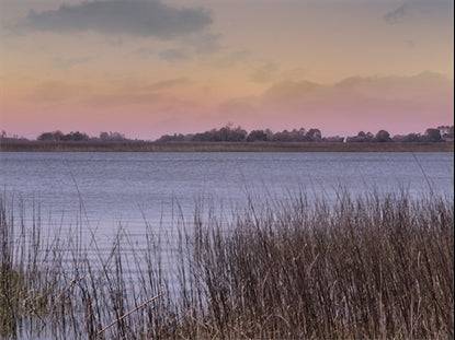 Tidelands 15